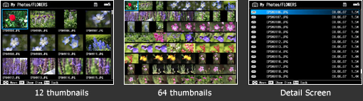Three type Image browsing
