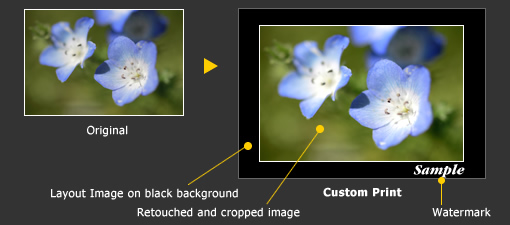 Advanced Print Solution