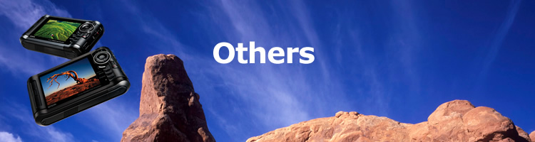 Others