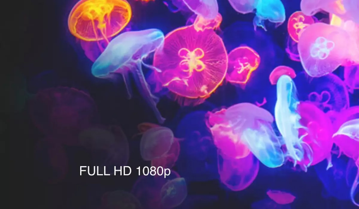 FULL HD 1080p FULL HD 1080p