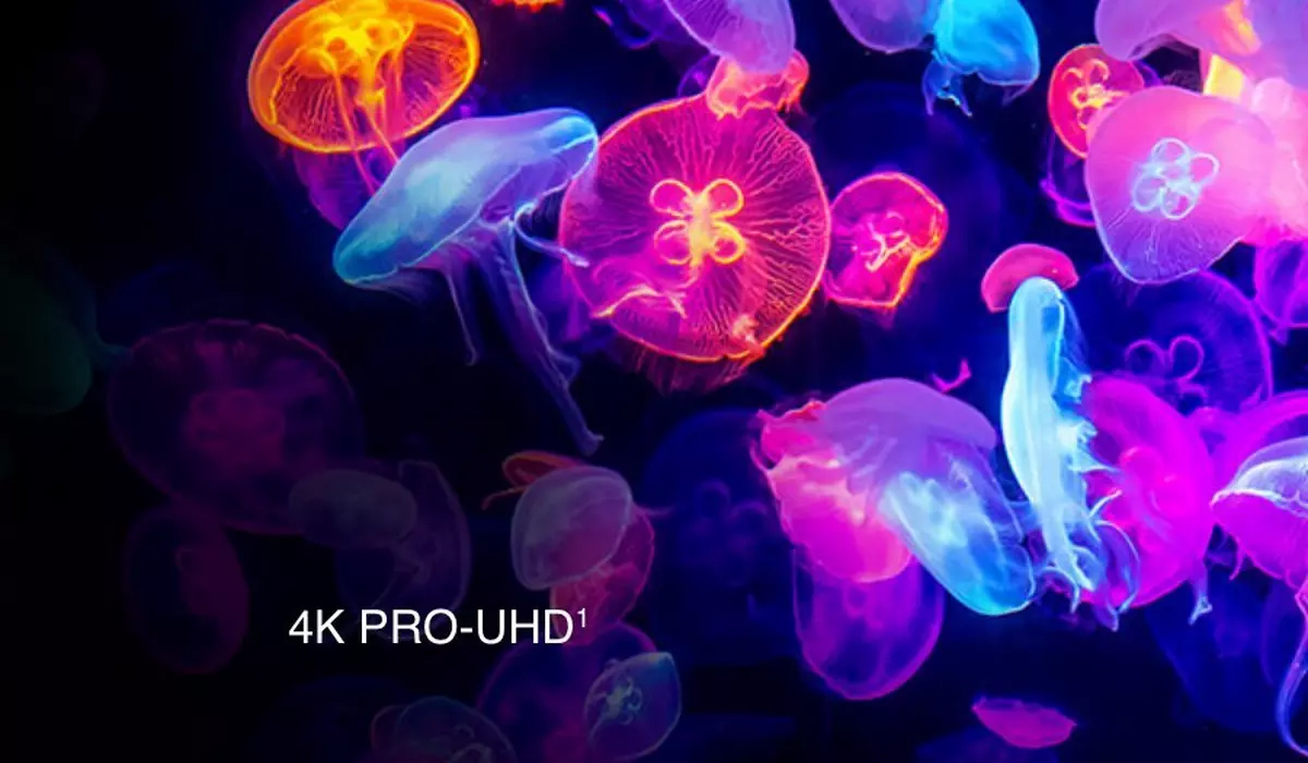 4K PRO-UHD 4K PRO-UHD