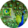 4K resolution img 4K resolution img