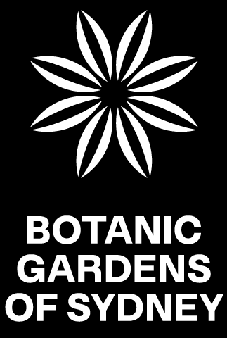 Botanic-Gardens-of-Sydney Botanic-Gardens-of-Sydney