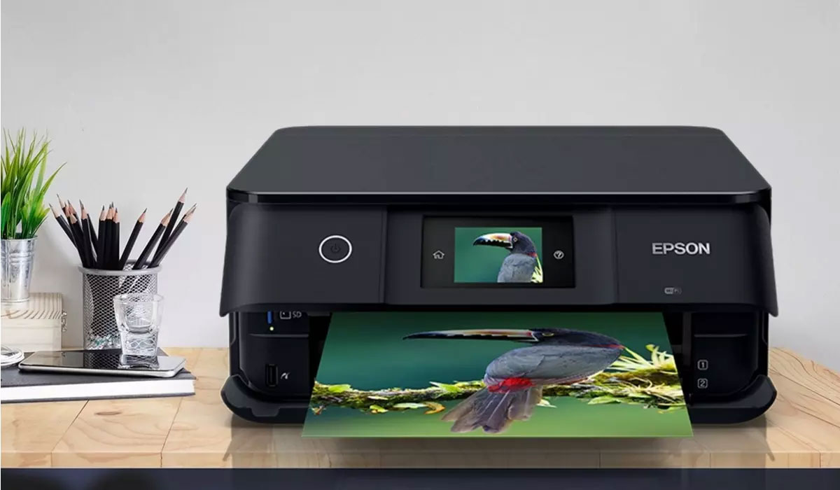 Expression Printer img Expression Printer img