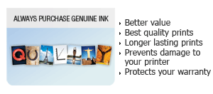 Genuine Epson Inks & Papers