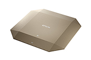 ELPVB05 Vanity board champagne gold