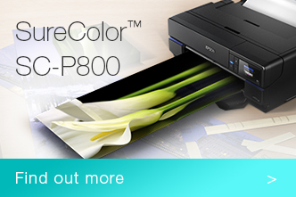 Epson SureColor P800