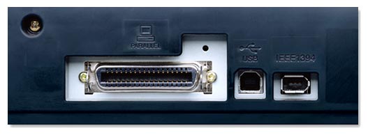Fxelible Connectivity