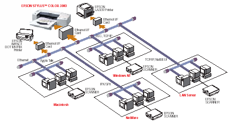 Network