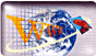 scant to web
