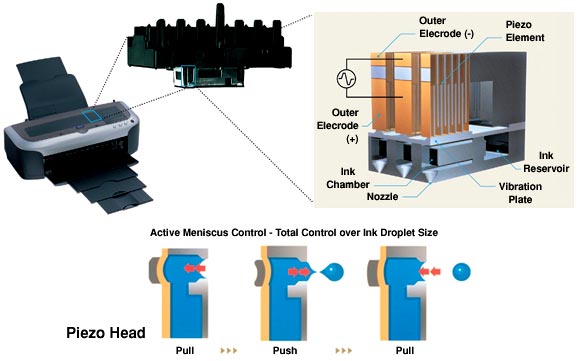 7 individual Ink cartridges
