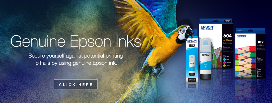 Epson Ink Cartridges