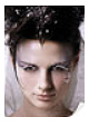 Photographic Papers for Large Format Printers Photographic Papers for Large Format Printers