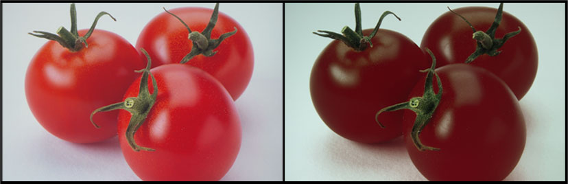 tomatoes brightness compare