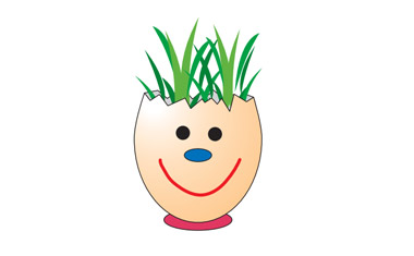 Egg Shell Plant