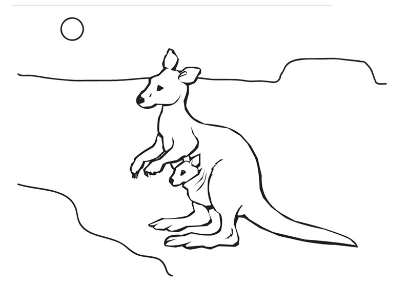 Kangaroo Colouring Sheet