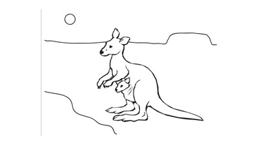 Kangaroo Colouring Sheet