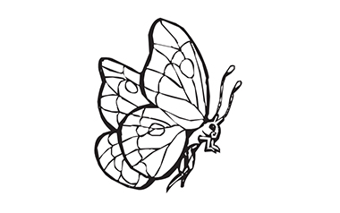 Butterfly & Flowers Colouring Sheet