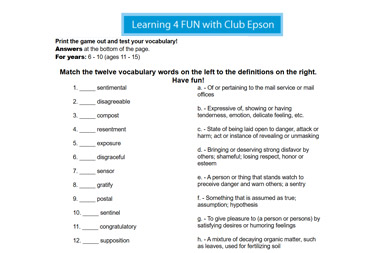 Vocabulary Worksheet