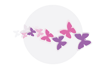 Butterfly Pillow Case Transfer