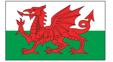 Welsh Flag