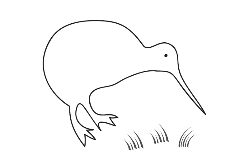 Kiwi Colouring Sheet