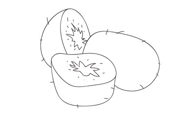 Kiwi Fruit Colouring Sheet