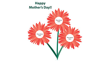 Family Daisy Bunch