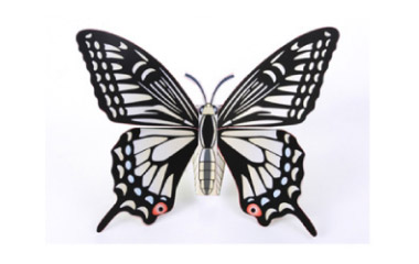 3D Butterfly