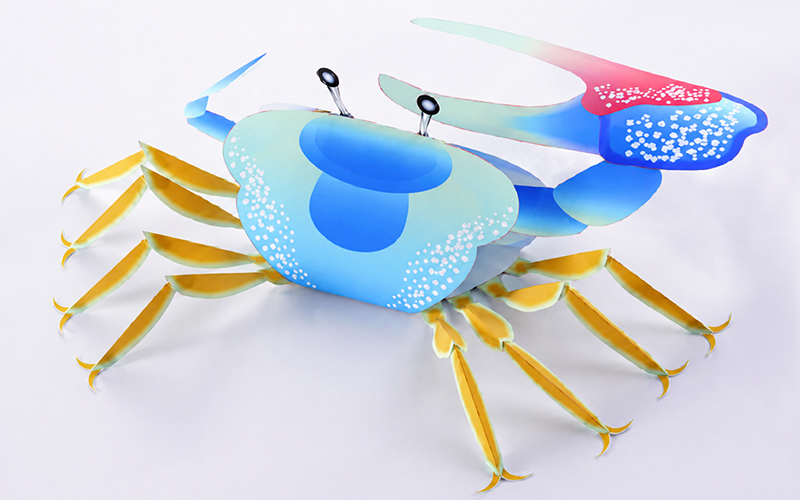 3D Crab