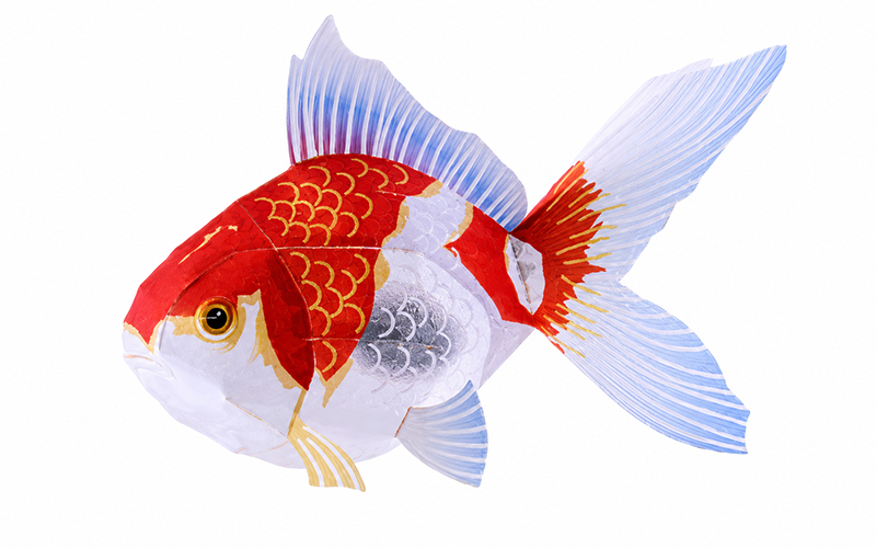 3D Gold Fish