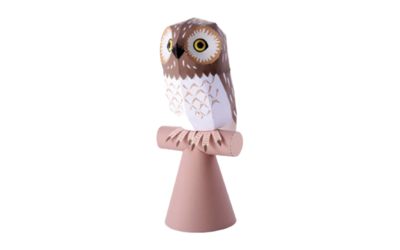 3D Owl