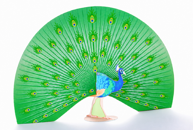 3D Peacock