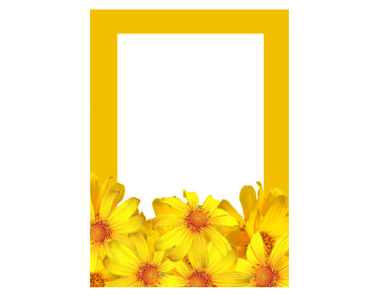 Frames for Mum No 4