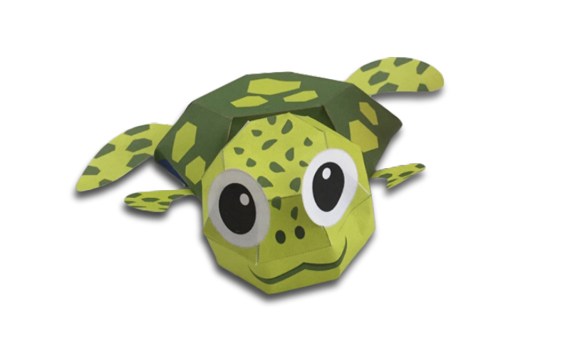 3D Turtle