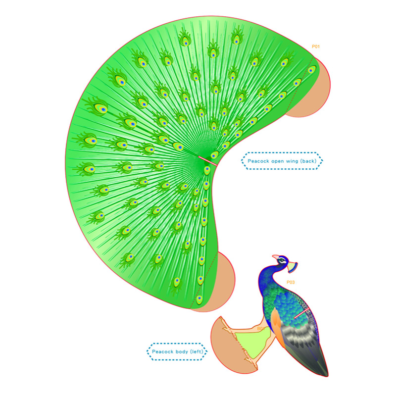 3D Peacock – image 2 of 6