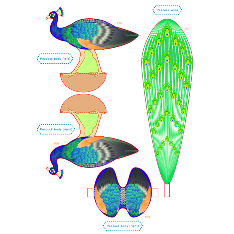 3D Peacock – image 4 of 6