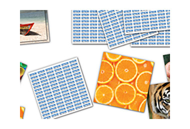 Epson Memory Game