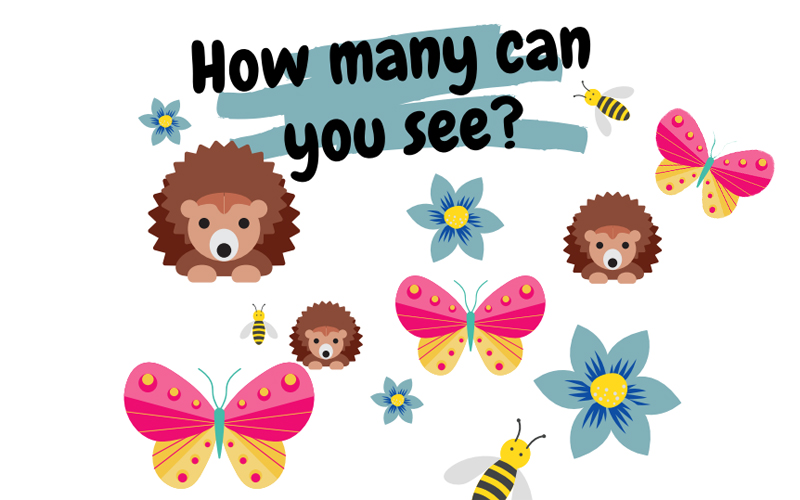 How Many Can You See?