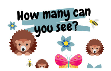 How Many Can You See?