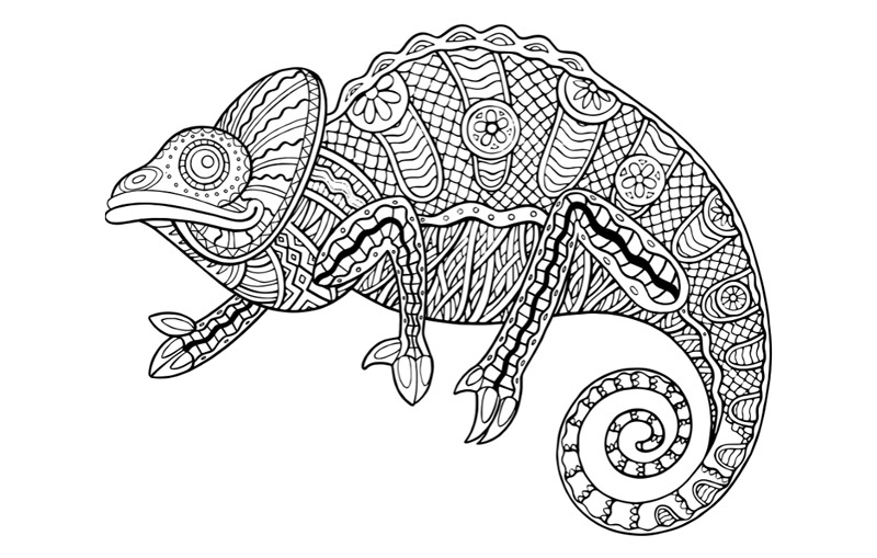 Chameleon
