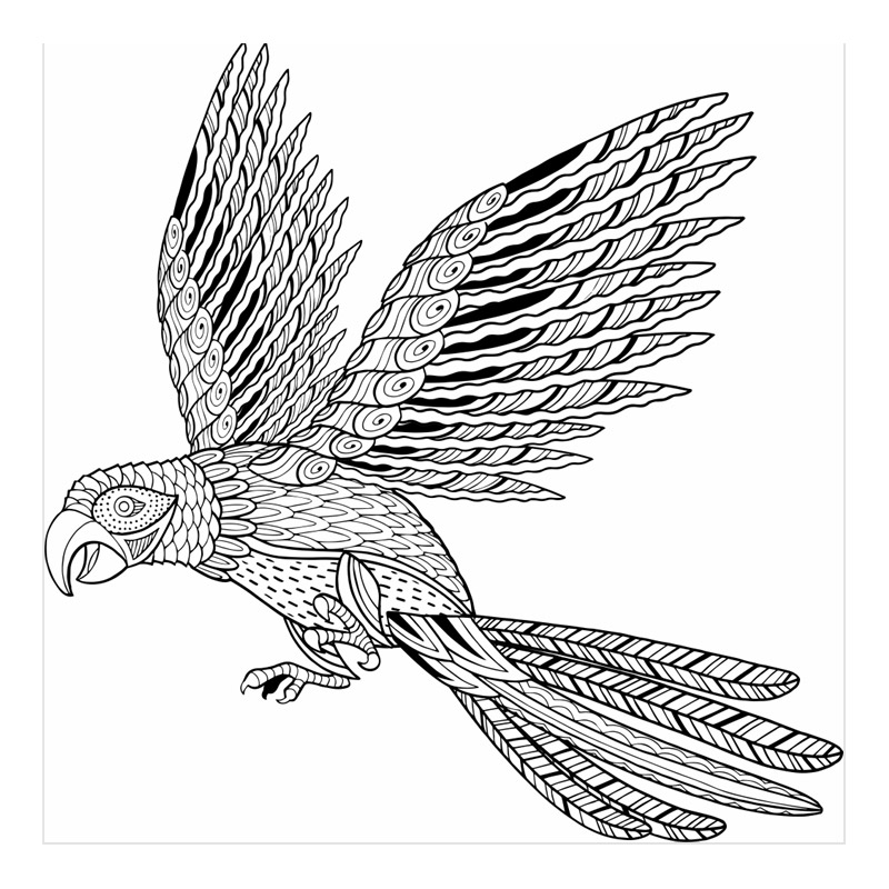 Parrot