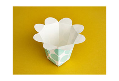 Popcorn Buckets